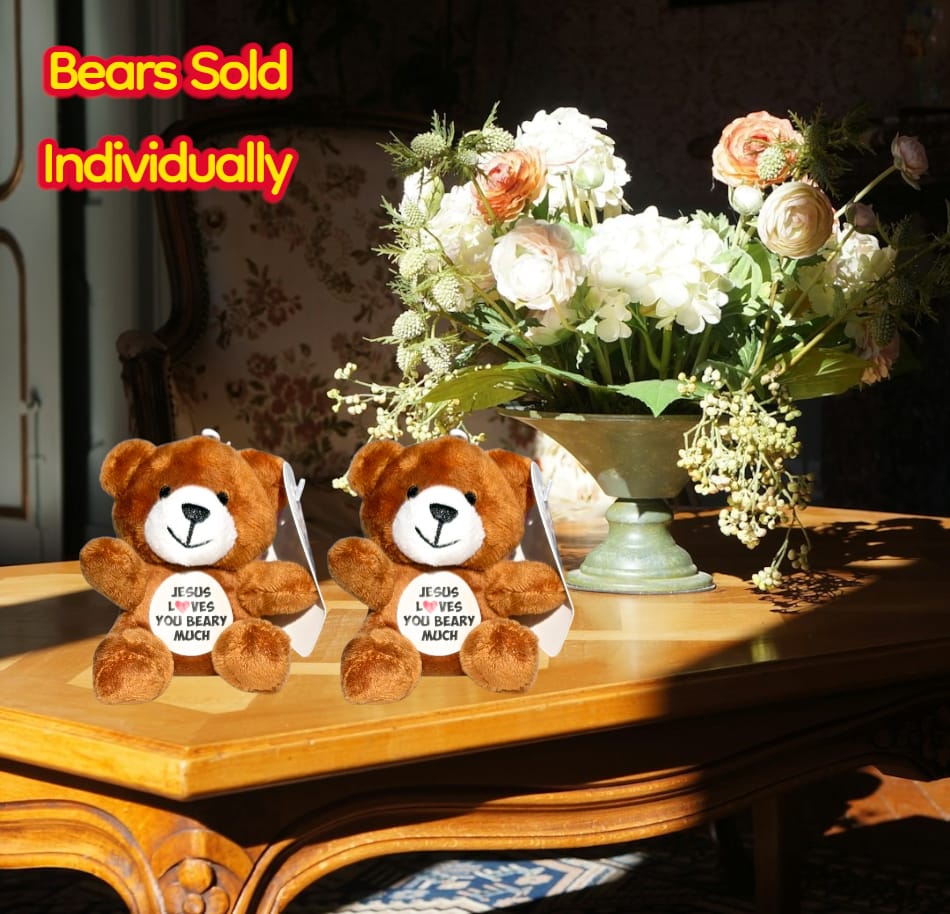 Christian Plush Teddy Bear – “Jesus Loves You Beary Much”  | Cozy Inspirational Faith-Based Stuffed Animal Mini Gift