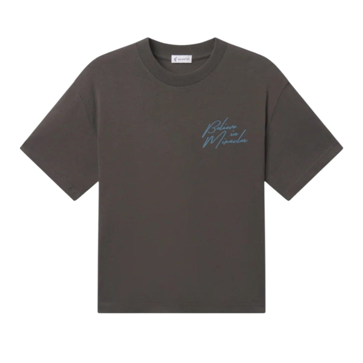 Elevated Faith Believe In Miracles Heavyweight Christian T-Shirt | Unisex Tee
