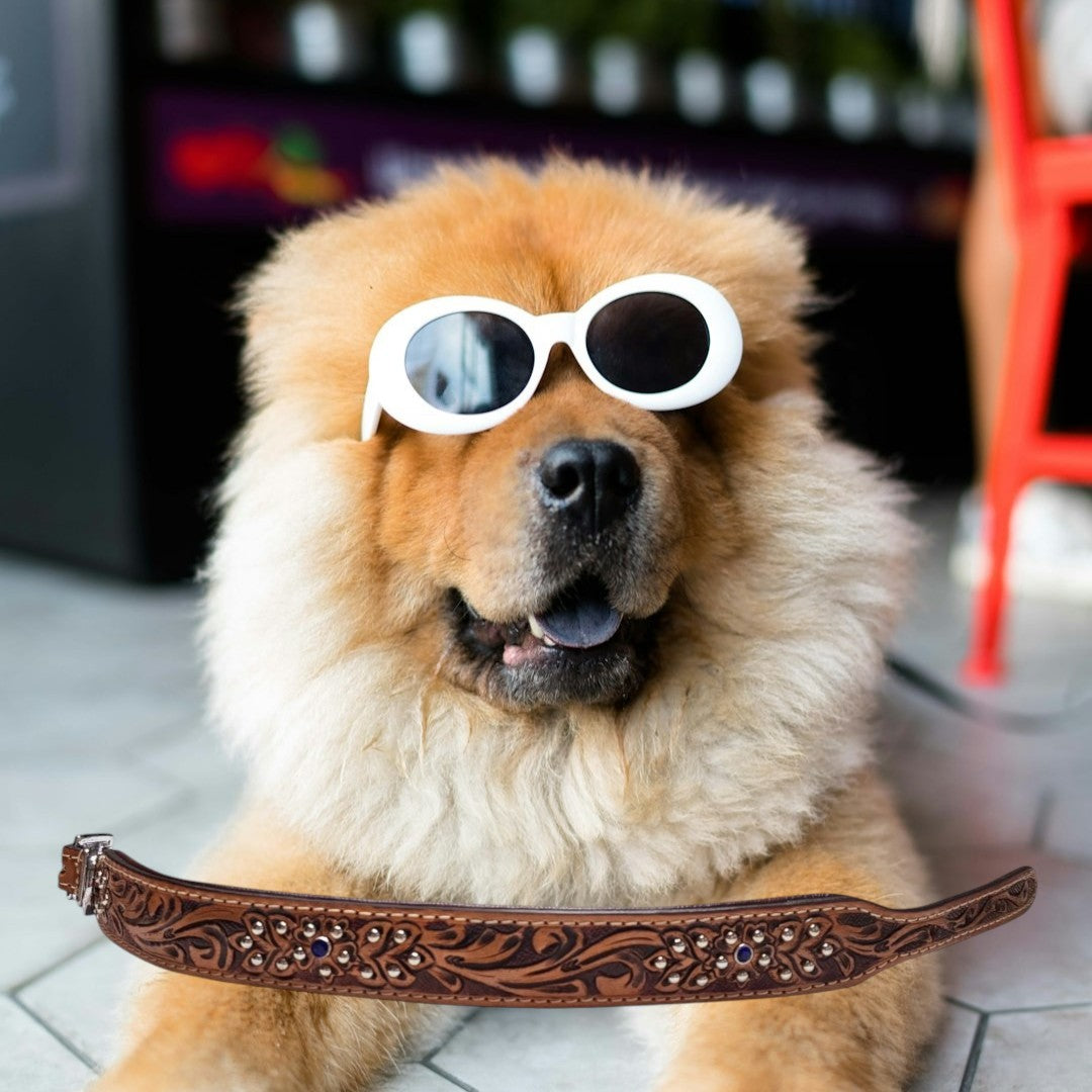 Handmade Leather Dog Collars - 18" L x 1.5" W