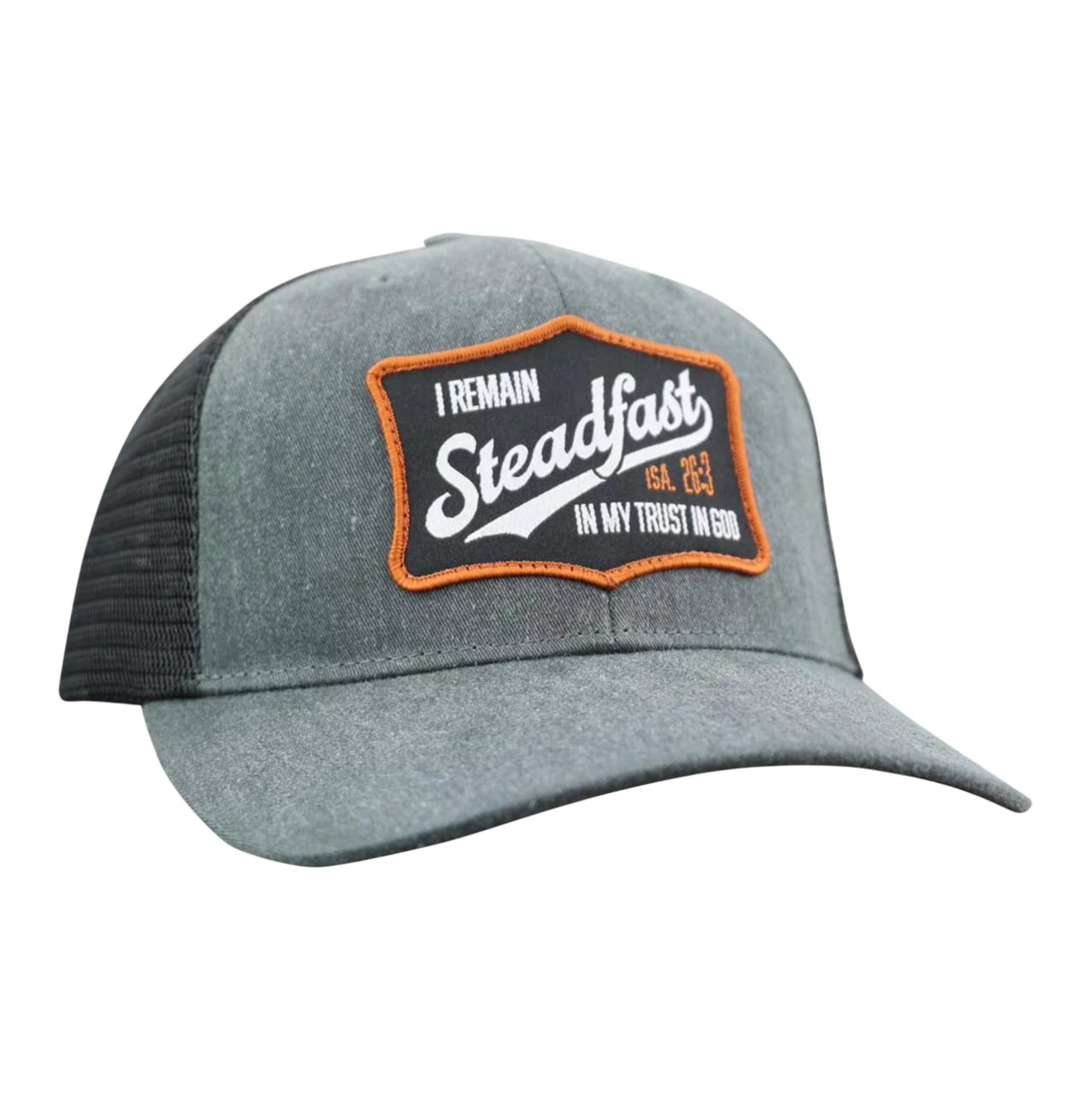 Steadfast Ball Hat- SWC5231